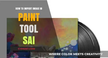 Importing Images in Paint Tool SAI: A Step-by-Step Guide