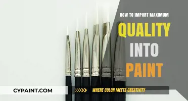 Mastering Paint Imports: Techniques for Maximum Quality and Precision