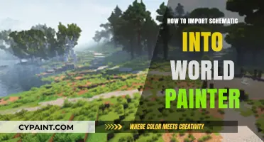 Import Schematic into World Painter: A Step-by-Step Guide