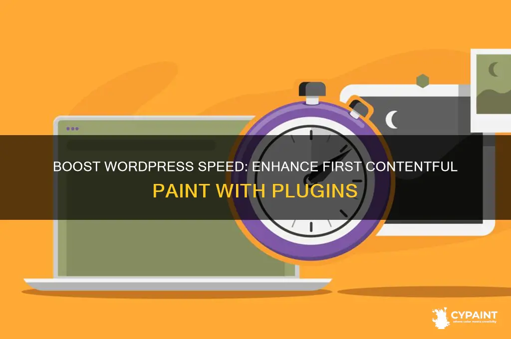 how to improve first contentful paint wordpress plugin