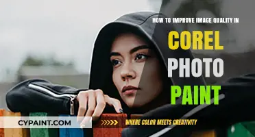 Enhancing Photos with Corel Photo-Paint: A Guide