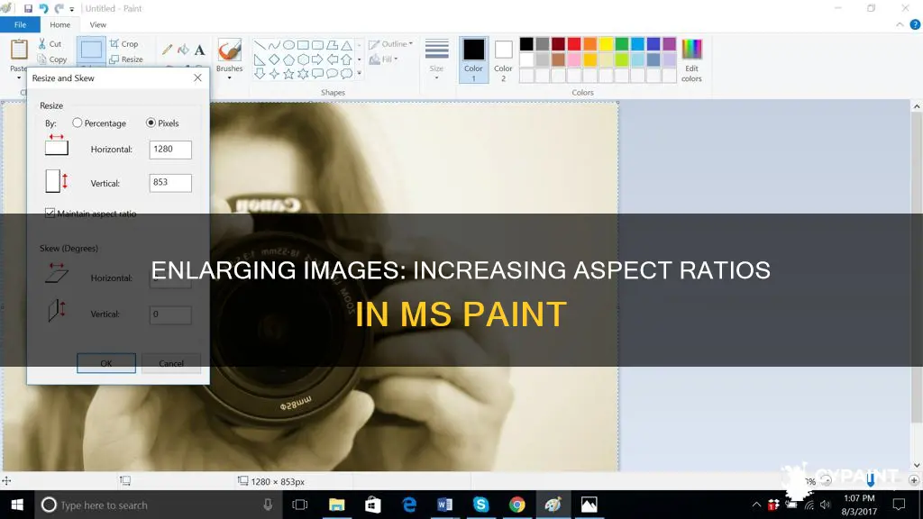 how to increase aspect ratio of image in paint