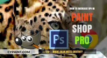 Boost Image Clarity: Increase DPI in PaintShop Pro Easily
