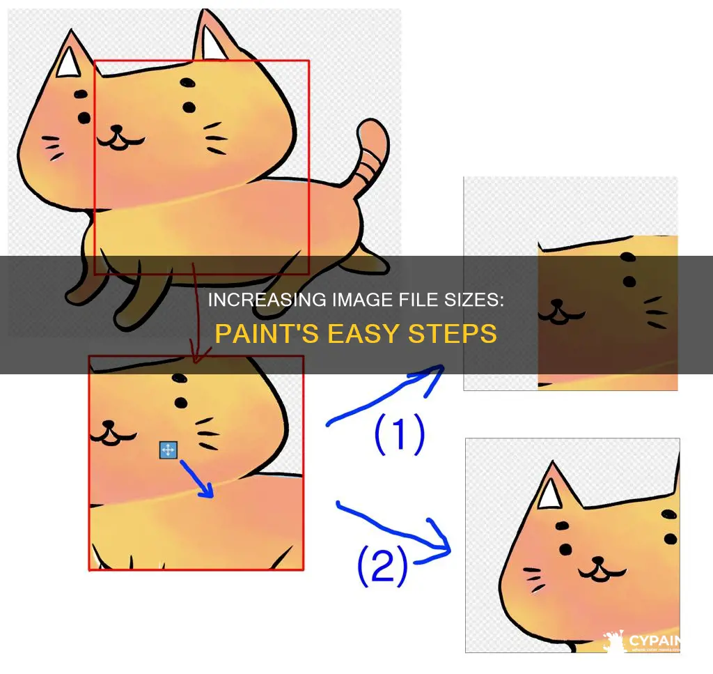 how to increase file size of image in paint