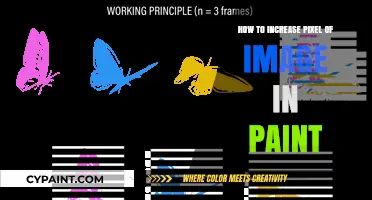 Enhance Image Clarity: Simple Steps to Increase Pixels in Paint
