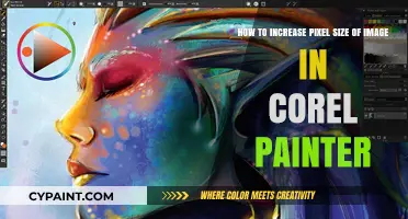 Enhancing Image Clarity: A Guide to Upscaling Pixels in Corel Painter