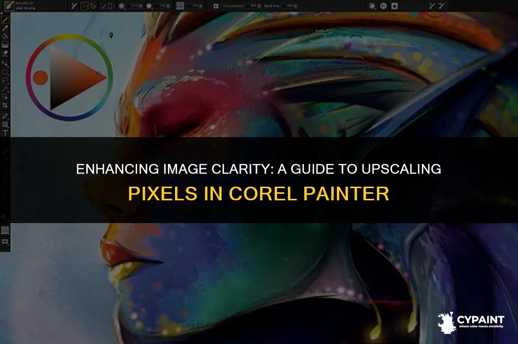 how to increase pixel size of image in corel painter