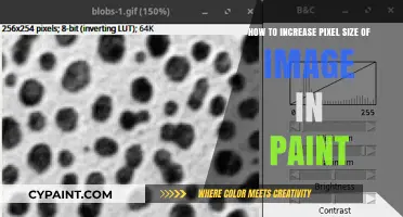 Enlarging Images: Increasing Pixel Size in Paint