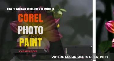 Enhancing Image Clarity: A Guide to Increasing Resolution in Corel Photo-Paint