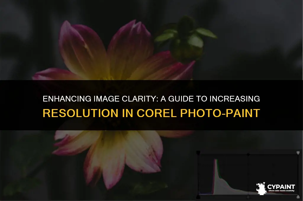 how to increase resolution of image in corel photo paint