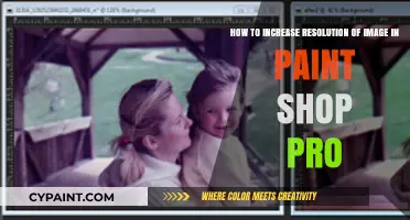 Enhancing Image Clarity: A Guide to Boosting Resolution in PaintShop Pro