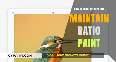 Master Resizing Paints: Maintain Perfect Ratios While Increasing Size
