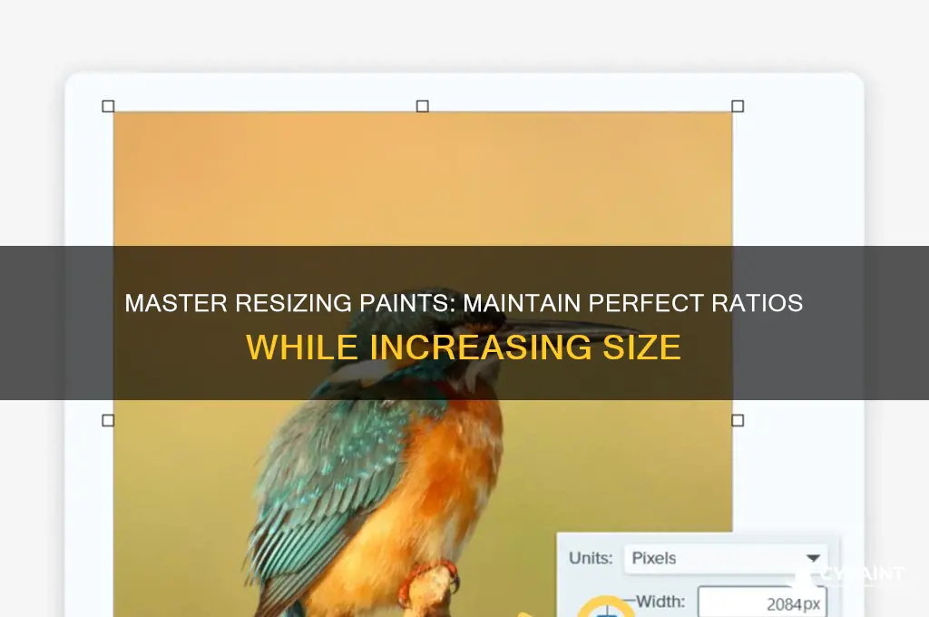 how to increase size but maintain ratio paint