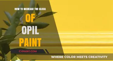 Enhance Opil Paint Gloss: Expert Tips for a Stunning Finish