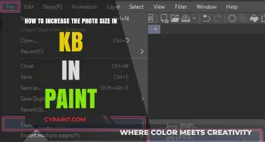 Enhancing Image Quality: A Guide to Increasing Photo Size in KB Using Paint