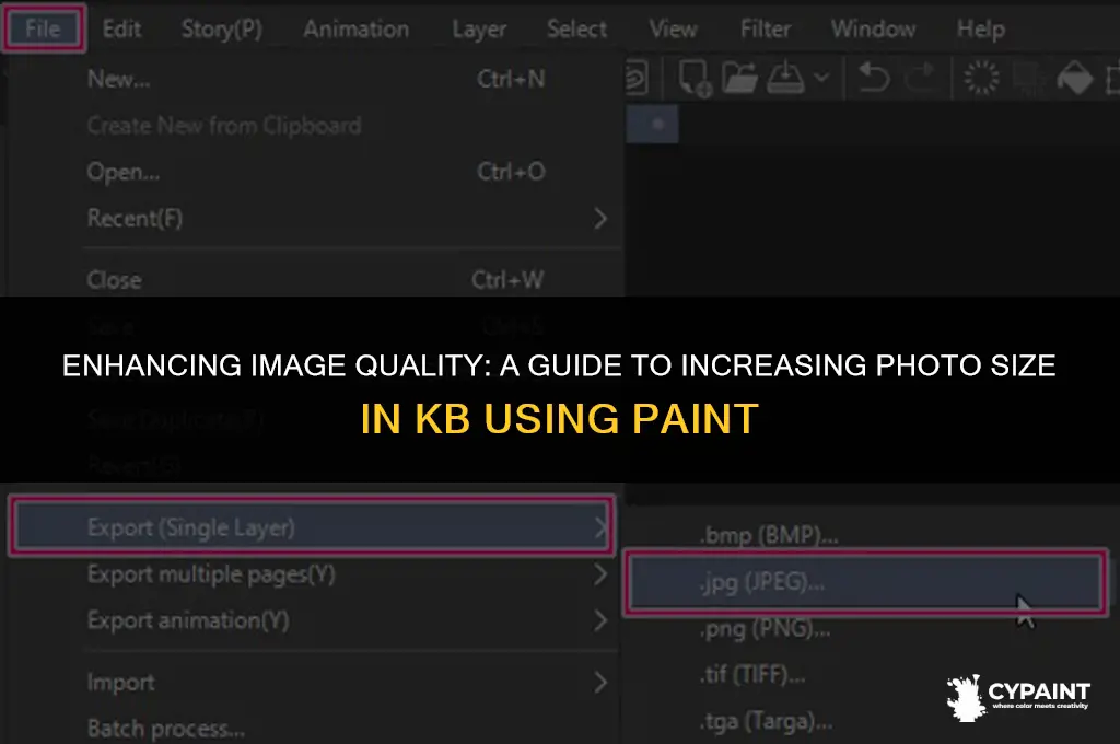 how to increase the photo size in kb in paint