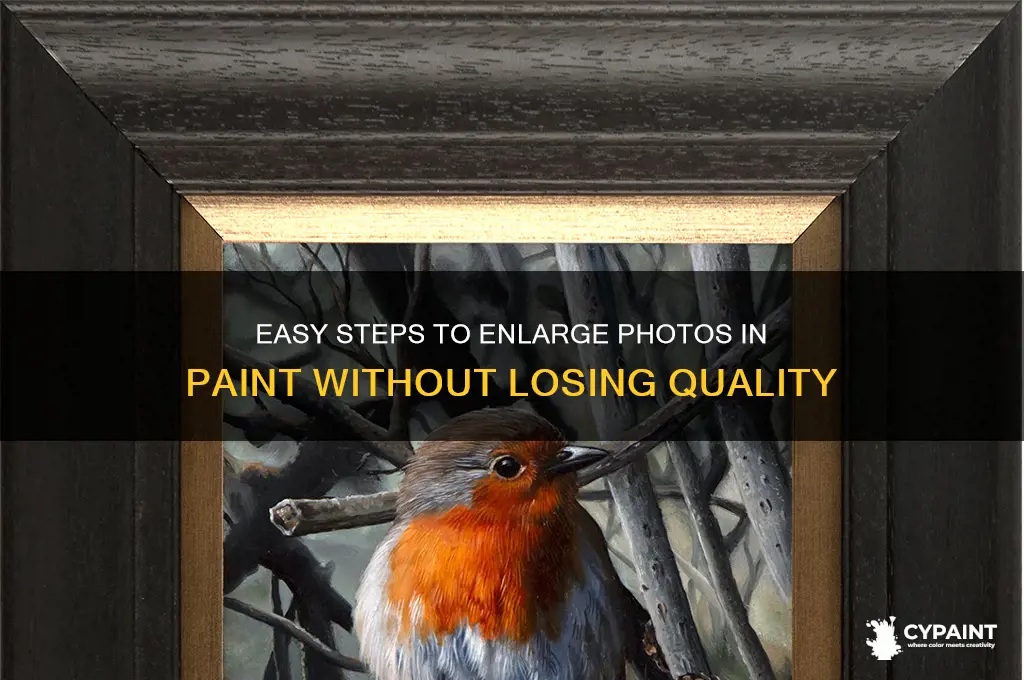 how to increase the photo size in paint