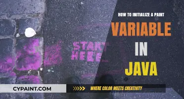 Mastering Java: Initializing Paint Variables for Effective Graphics Programming