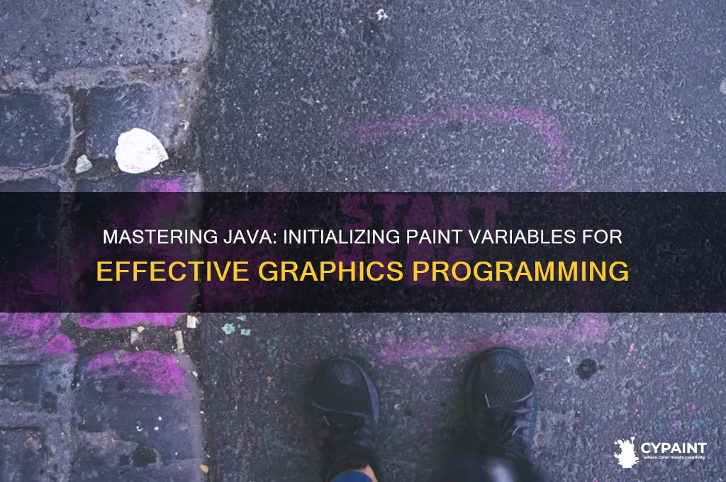 how to initialize a paint variable in java