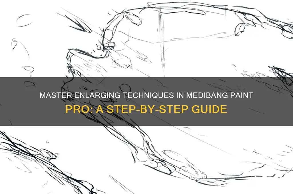 how to inlarge things on mediabang paint pro