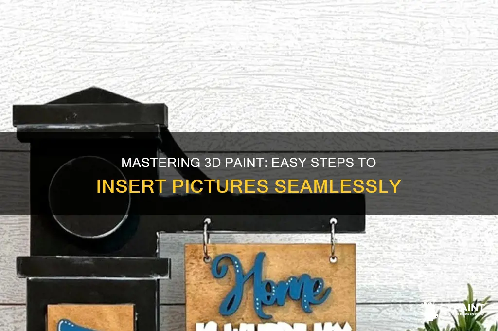 how to inrset pics on 3d paint