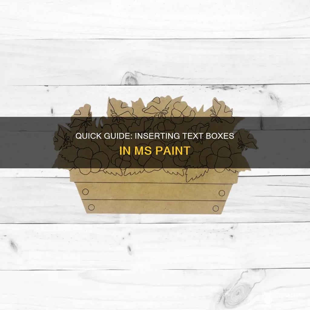 how to insert a text box in mocrosoft paint