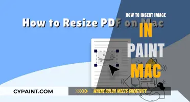 Inserting Images in Paint on Mac: A Step-by-Step Guide