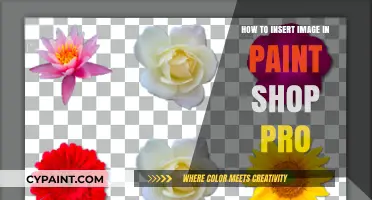 Mastering Paint Shop Pro: Easy Steps to Insert Images