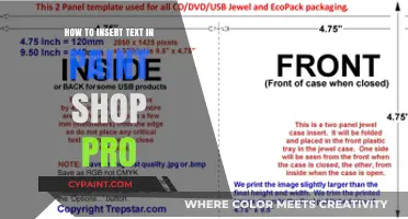 Mastering Text Insertion in Paint Shop Pro: A Step-by-Step Guide