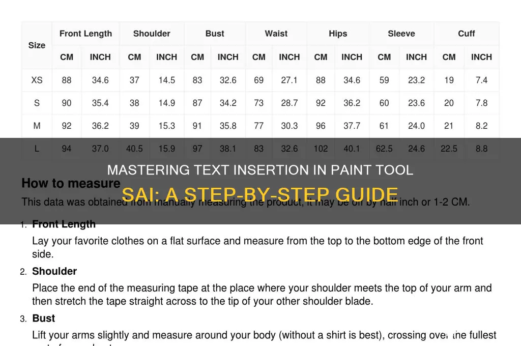 how to insert text paint tool sai
