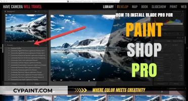 Install Blade Pro for Paint Shop Pro: A Step-by-Step Guide