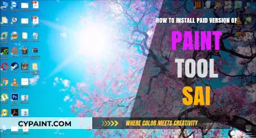 Install Paint Tool SAI: A Quick Guide to the Paid Version