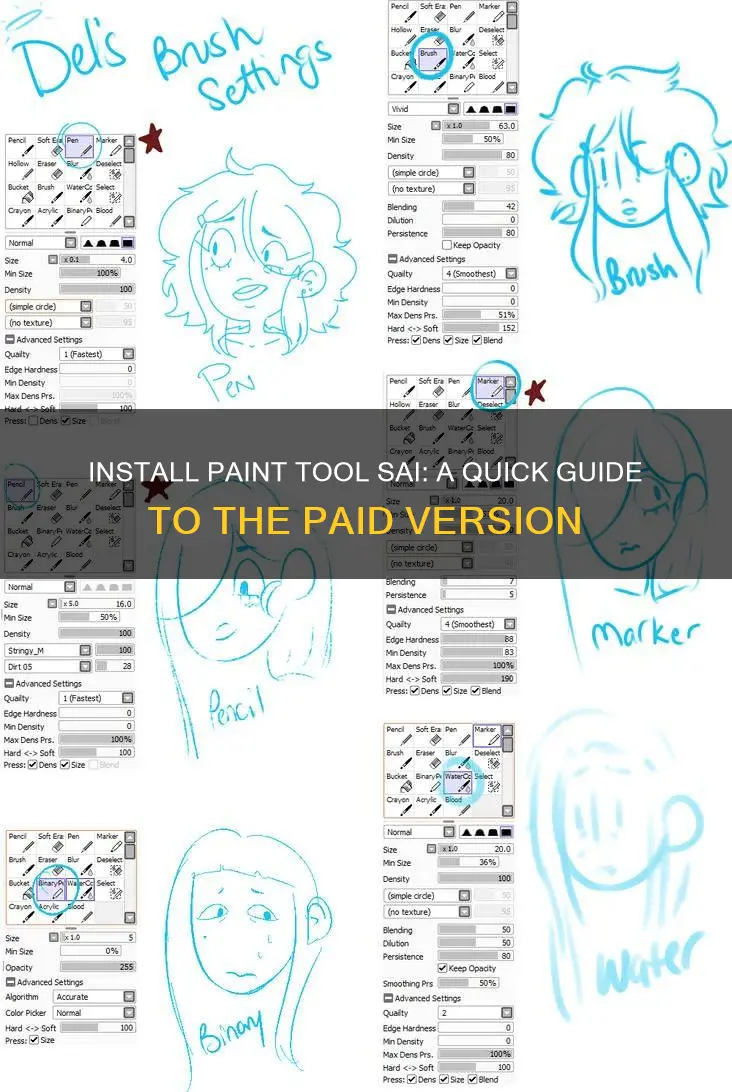 how to install paid version of paint tool sai