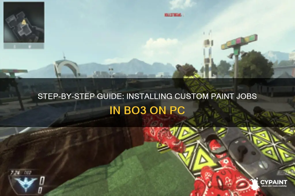 how to install paint jobs bo3 pc