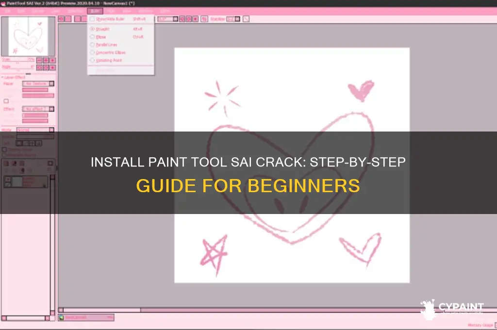 how to install paint tool sai crack