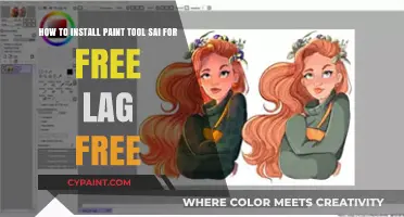 Effortless Installation: Get Paint Tool SAI for Free Without Lag
