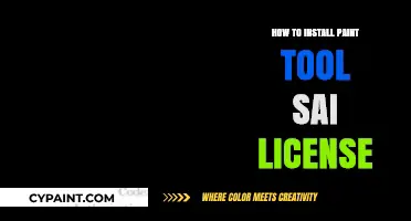 Easy Guide to Installing Your Paint Tool SAI License