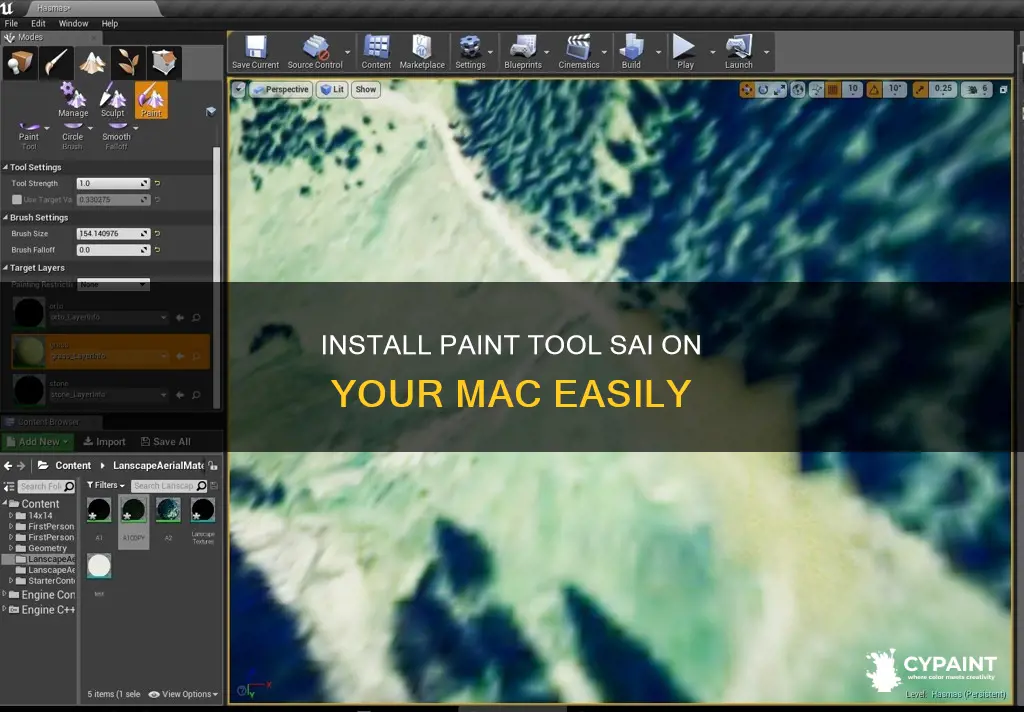 how to install paint tool sai on a mac