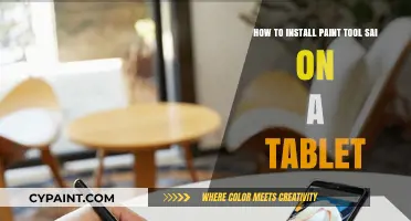 Tablet Guide: Installing Paint Tool SAI