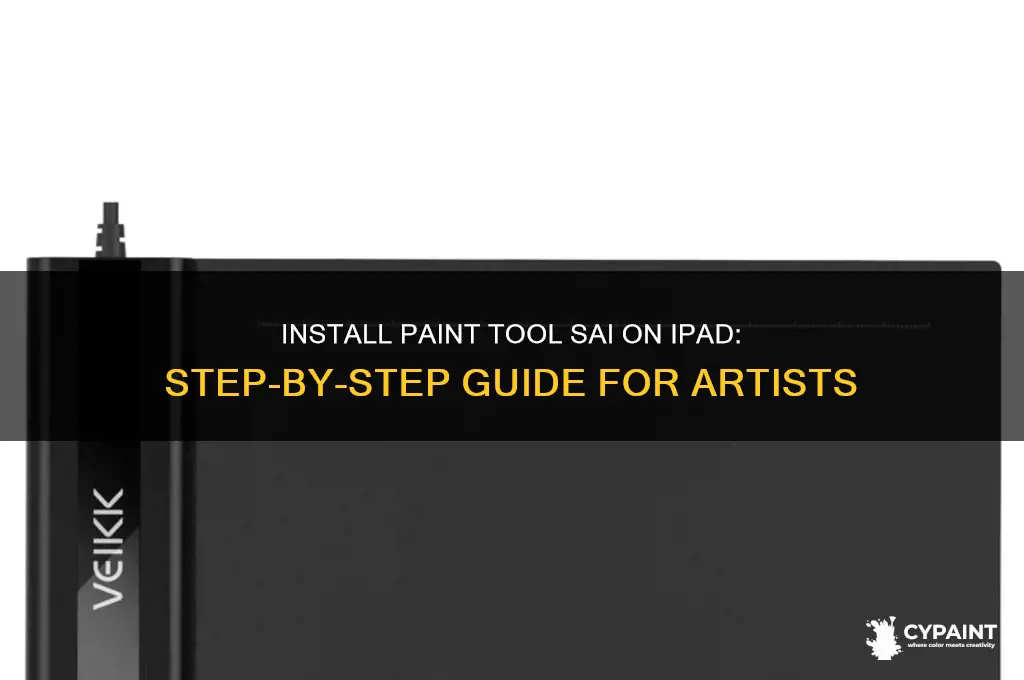 how to install paint tool sai on ipad