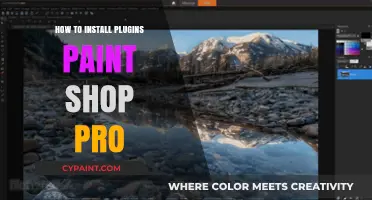 Mastering PaintShop Pro: A Step-by-Step Guide to Installing Plugins