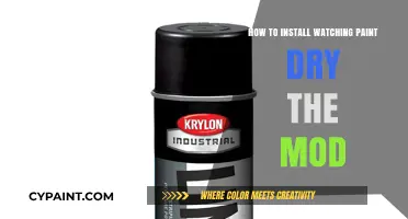 Mastering the Art: Installing the Watching Paint Dry Mod Easily