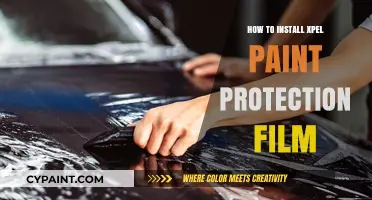 Step-by-Step Guide to Installing XPEL Paint Protection Film