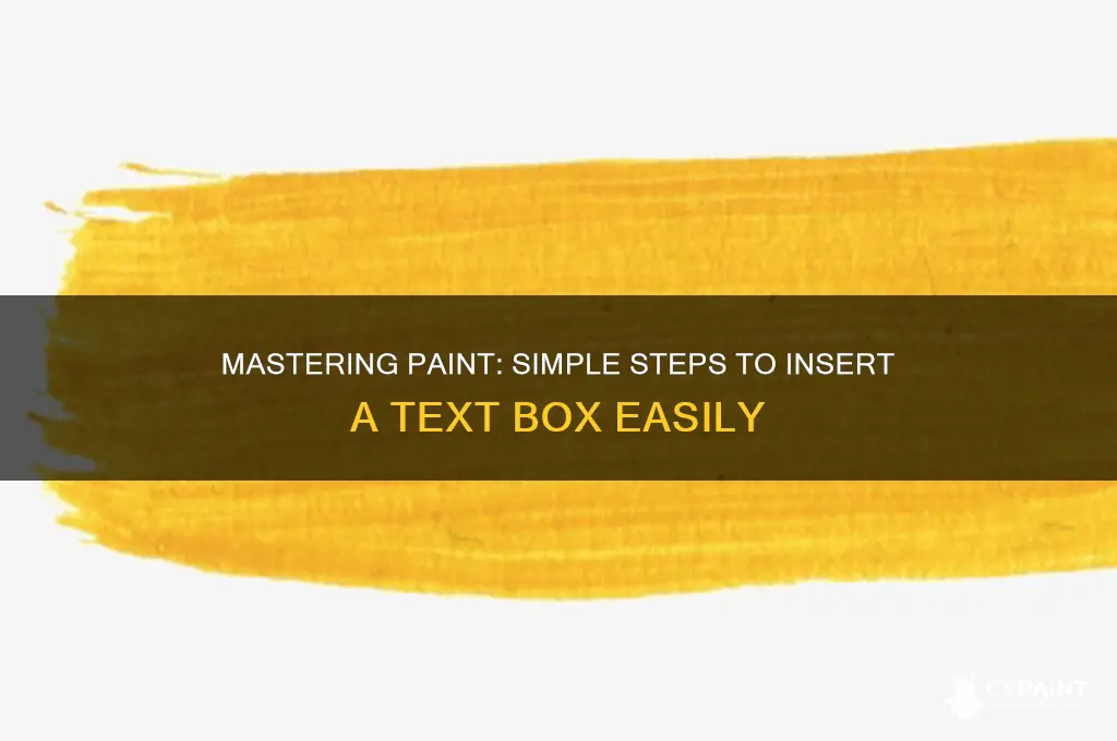 how to inter a text box on paint