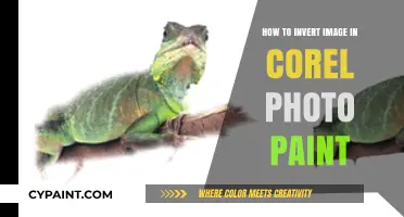 Mastering Image Inversion in Corel Photo-Paint: A Step-by-Step Guide