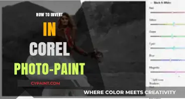 Mastering Image Inversion in Corel Photo-Paint: A Step-by-Step Guide