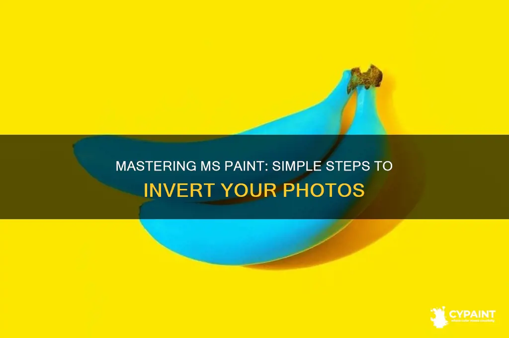 how to invert photo on ms paint