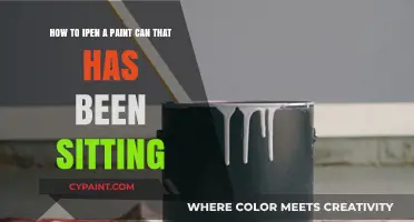 Reviving Creativity: How to Open a Long-Sitting Paint Can
