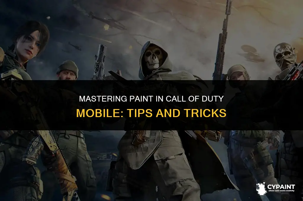 how to ise the paint on call of duty mobile