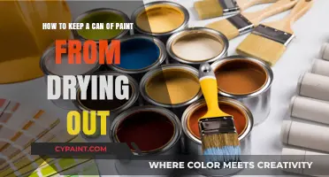Preserving Paint: Tips to Keep Your Can Fresh and Ready